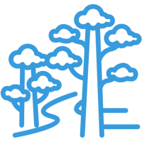 foret-tropicale foret-tropicale